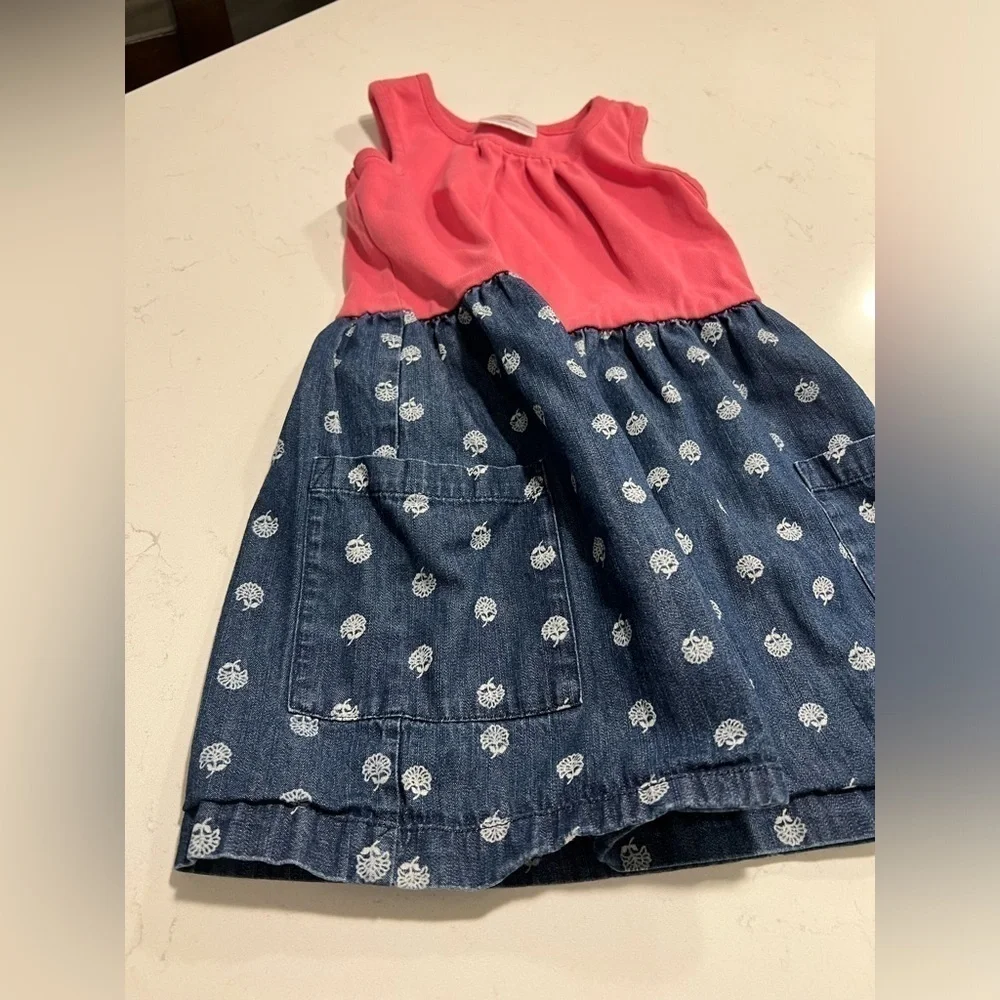 Hanna Anderson Pink and Chambray Floral Dress size 3-5 years